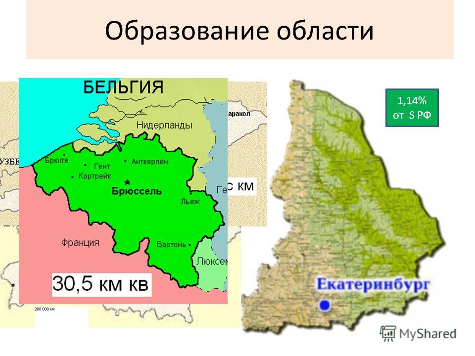 Образование области 17 января 1934 года Площадь 195 000 км² 1,14% от S РФ