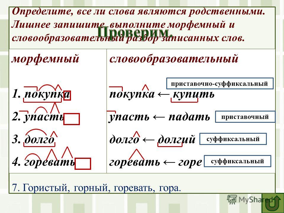 Как по русскому языку сделать морфологический разбор слова 306