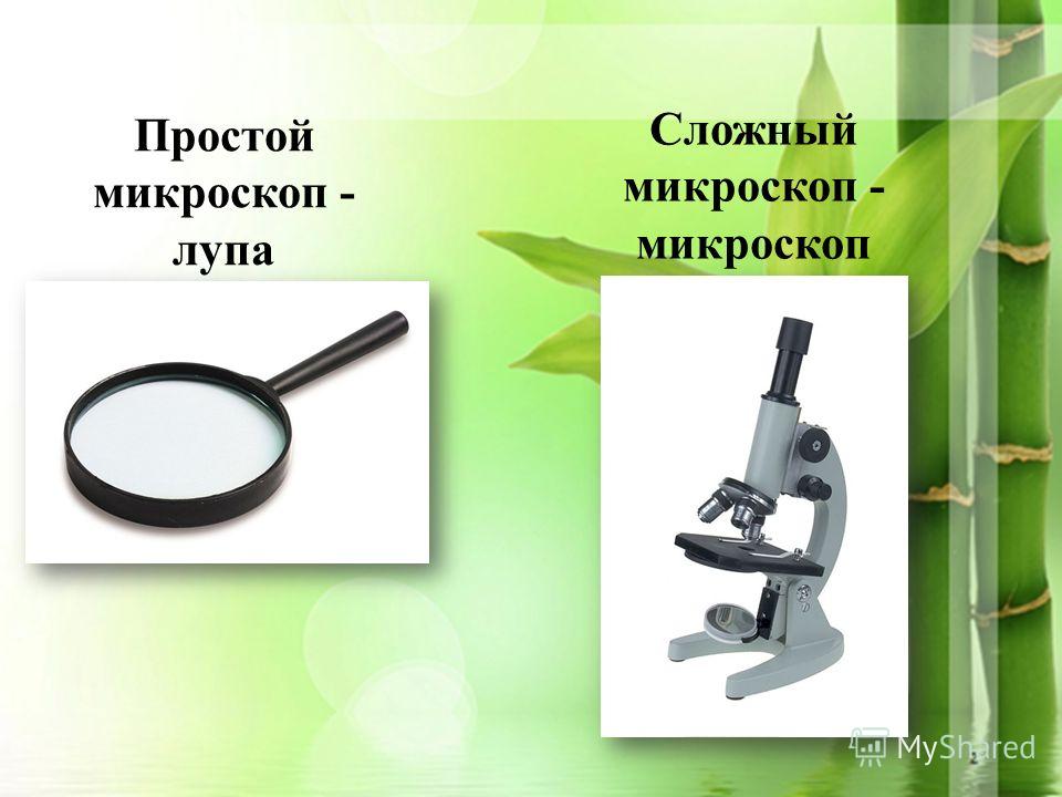 3 Простой микроскоп - лупа Сложный микроскоп - микроскоп