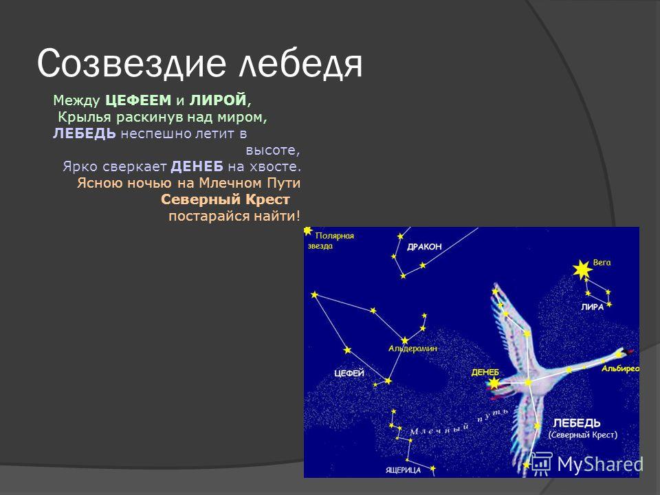 Созвездие лебедь поделки Созвездие лебедь поделки