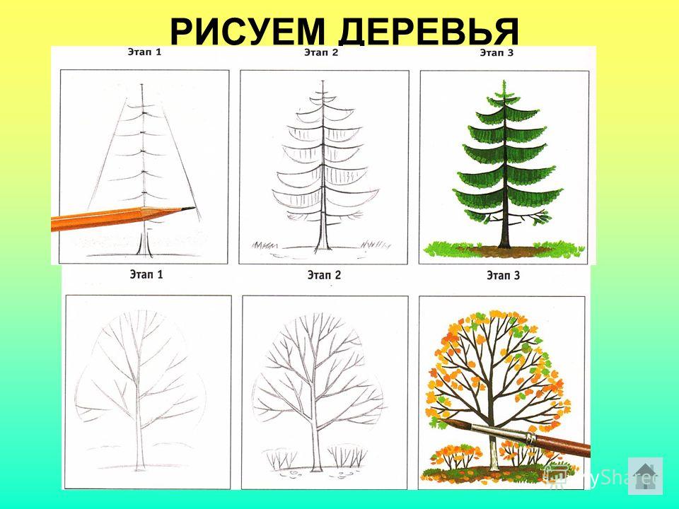 Дома и деревья поэтапно нарисовать Дома и деревья поэтапно нарисовать