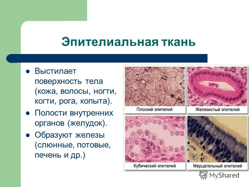 Скутер ямаха джог априо пластик Скутер ямаха джог априо пластик