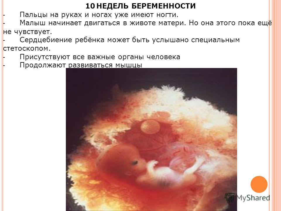 9 неделя развития малыша что должен уметь ребенок