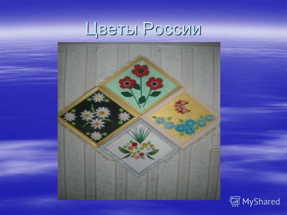 Цветы России
