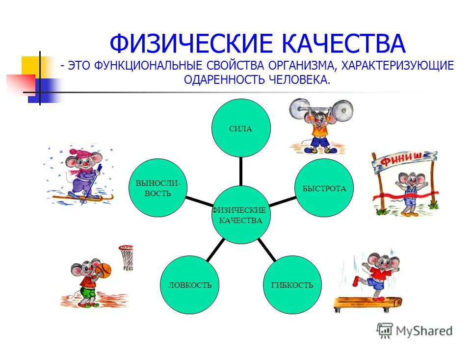 ФИЗИЧЕСКИЕ КАЧЕСТВА - ЭТО ФУНКЦИОНАЛЬНЫЕ СВОЙСТВА ОРГАНИЗМА, ХАРАКТЕРИЗУЮЩИЕ ОДАРЕННОСТЬ ЧЕЛОВЕКА. ФИЗИЧЕСКИЕ КАЧЕСТВА СИЛАБЫСТРОТАГИБКОСТЬЛОВКОСТЬ ВЫНОСЛИ- ВОСТЬ