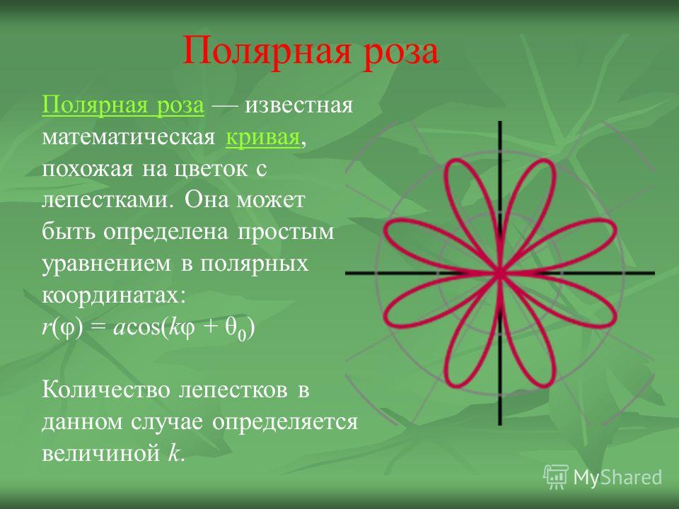 Полярная розаПолярная роза известная математическая кривая, похожая на цветок с лепестками. Она может быть определена простым уравнением в полярных координатах:кривая r(φ) = acos(kφ + θ 0 ) Количество лепестков в данном случае определяется величиной 