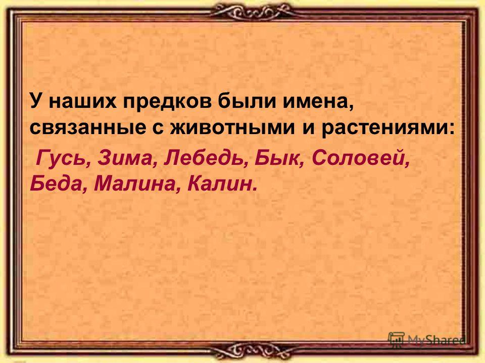 Животные связанные с именем Животные связанные с именем