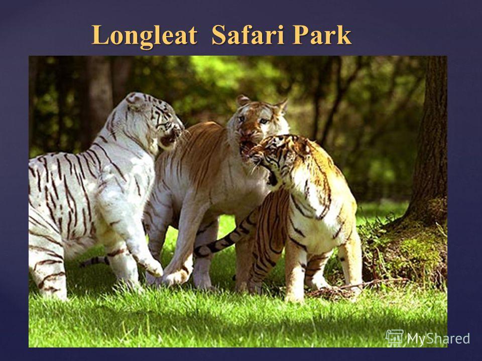 Longleat Safari Park Longleat Safari Park