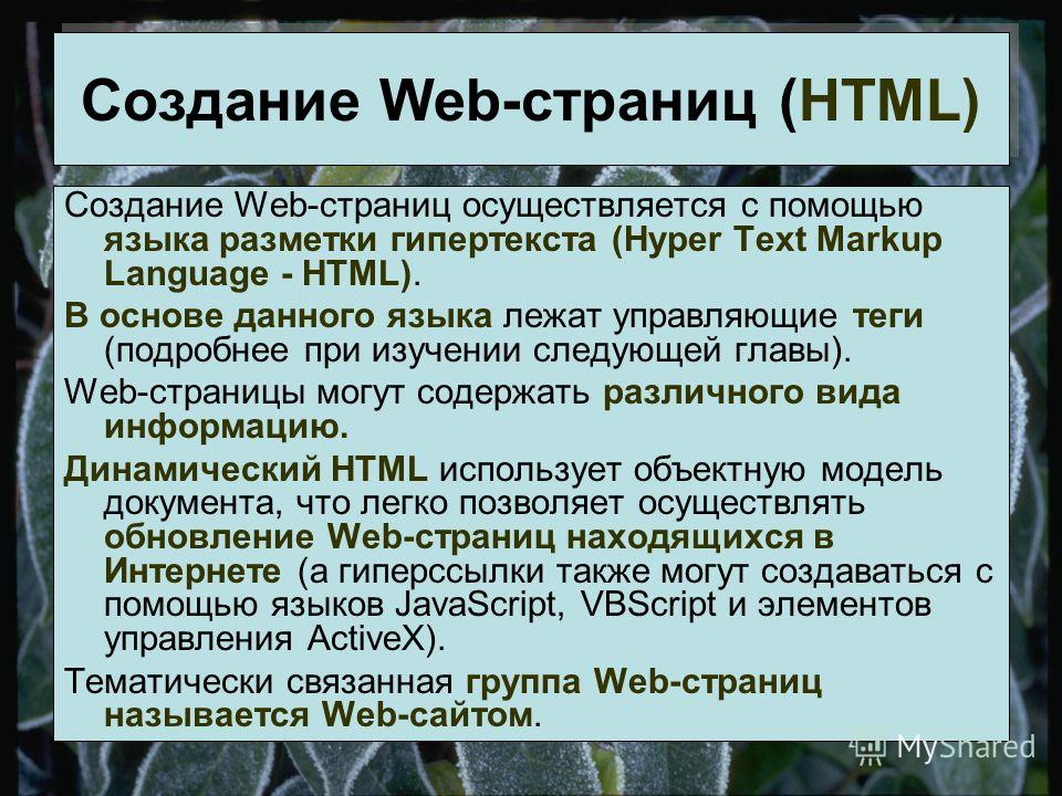 Создание Web-страниц осуществляется с помощью языка разметки гипертекста (Hyper Text Markup Language - HTML). В основе данного языка лежат управляющие теги (подробнее при изучении следующей главы). Web-страницы могут содержать различного вида информа