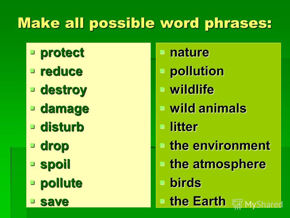 Make all possible word phrases: protect protect reduce reduce destroy destroy damage damage disturb disturb drop drop spoil spoil pollute pollute save save nature nature pollution pollution wildlife wildlife wild animals wild animals litter litter th