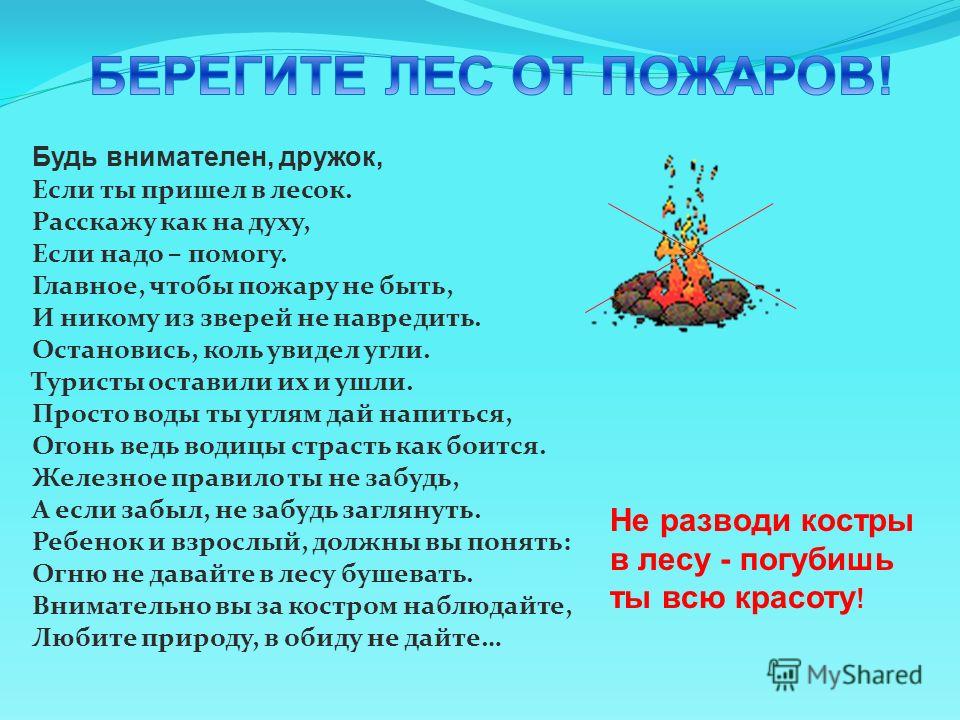Стих как беречь лес Стих как беречь лес