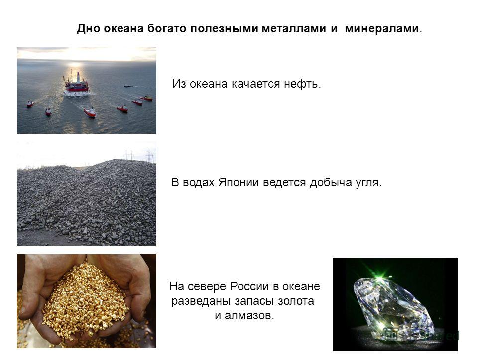 Дно океана богато полезными металлами и минералами. Из океана качается нефть. В водах Японии ведется добыча угля. На севере России в океане разведаны запасы золота и алмазов.