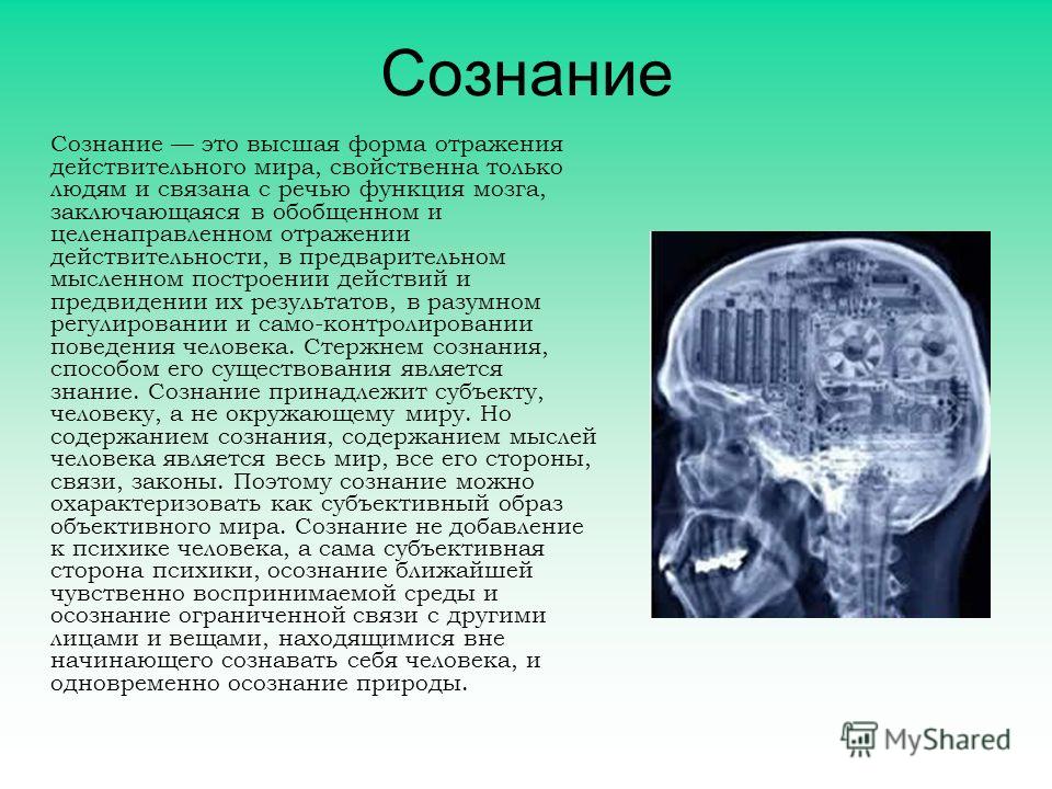 Сознание и мозг как они связаны Сознание и мозг как они связаны