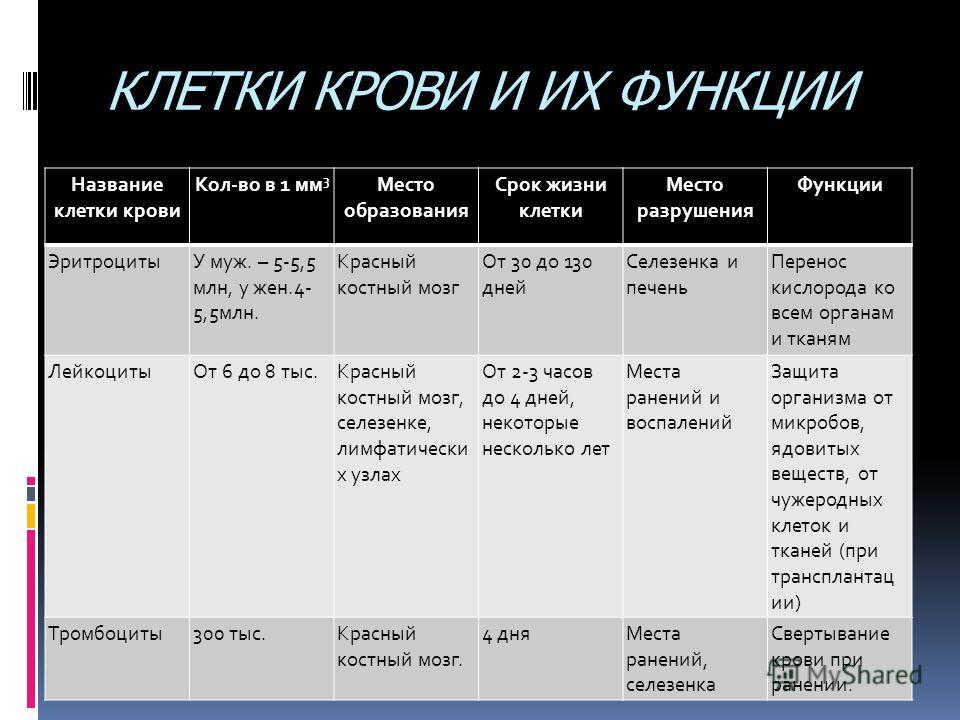 Реферат Кровь Зеркало Организма Реферат Кровь Зеркало Организма