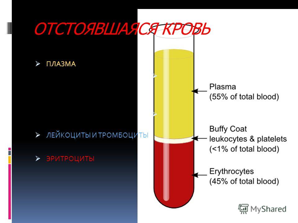 Реферат Кровь Зеркало Организма Реферат Кровь Зеркало Организма