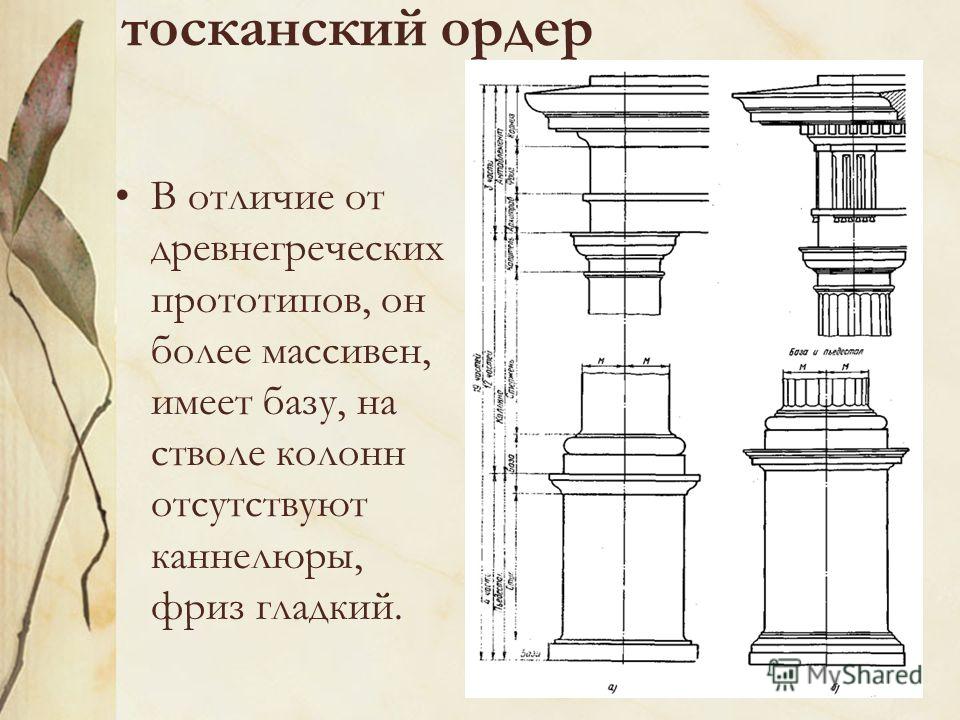 тосканский ордер В отличие от древнегреческих прототипов, он более массивен, имеет базу, на стволе колонн отсутствуют каннелюры, фриз гладкий.