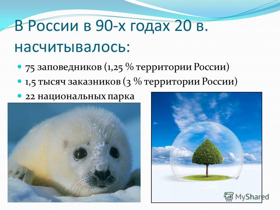 В России в 90-х годах 20 в. насчитывалось: 75 заповедников (1,25 % территории России) 1,5 тысяч заказников (3 % территории России) 22 национальных парка