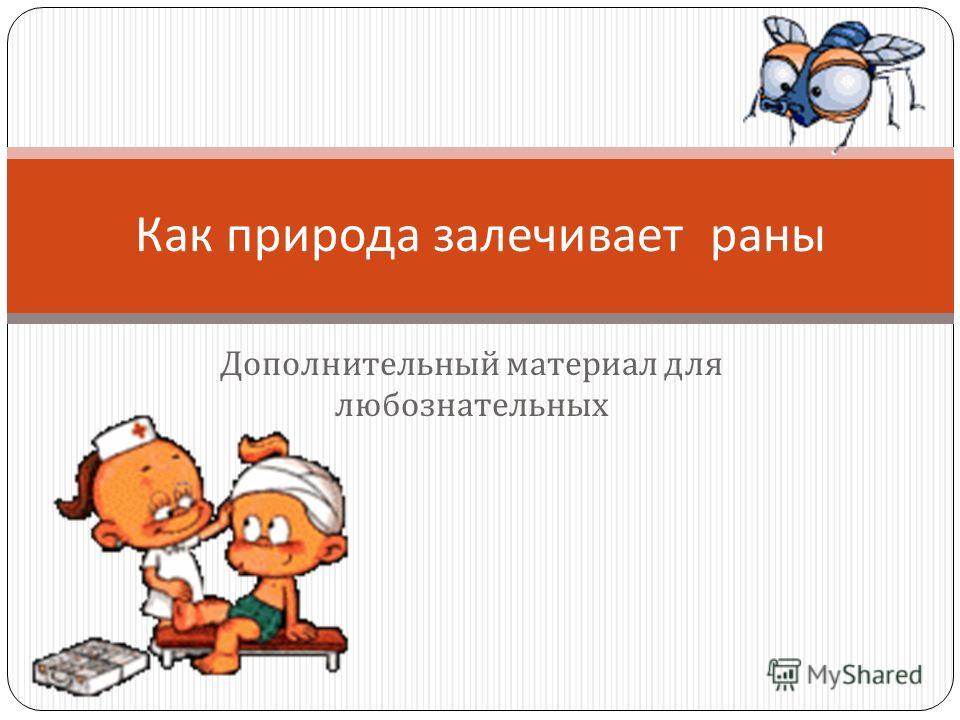 Картинки на тему как природа залечивает раны Картинки на тему как природа залечивает раны