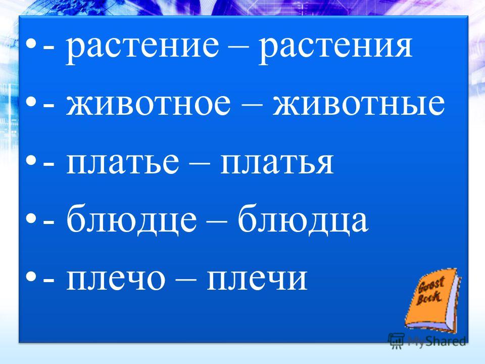 Какие салаты можно приготовить из курицы и грибов Какие салаты можно приготовить из курицы и грибов