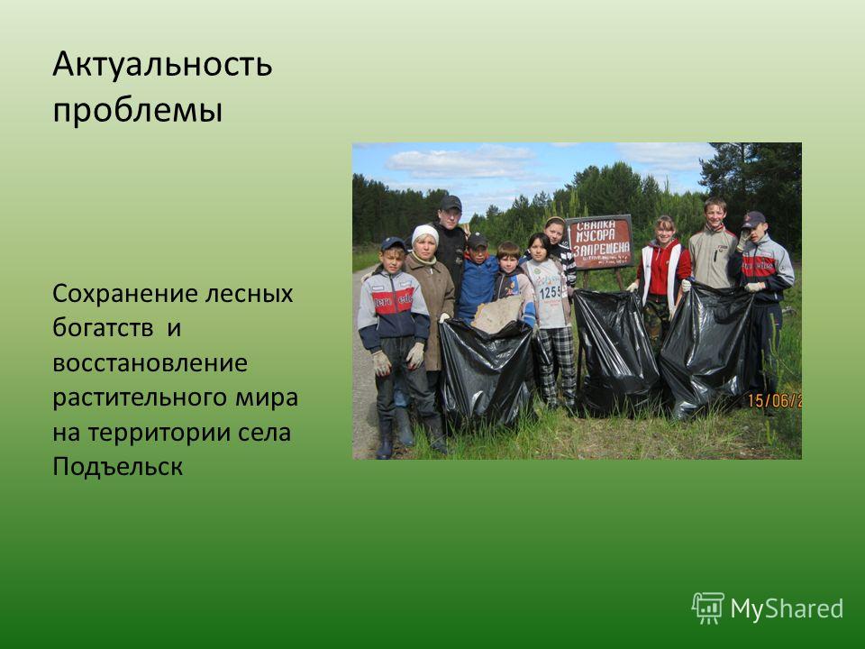 Актуальность проблемы Сохранение лесных богатств и восстановление растительного мира на территории села Подъельск