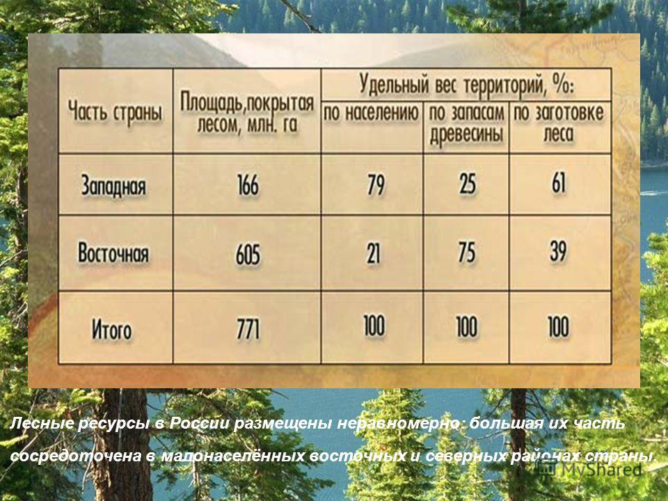 Лесные ресурсы в России размещены неравномерно: большая их часть сосредоточена в малонаселённых восточных и северных районах страны.