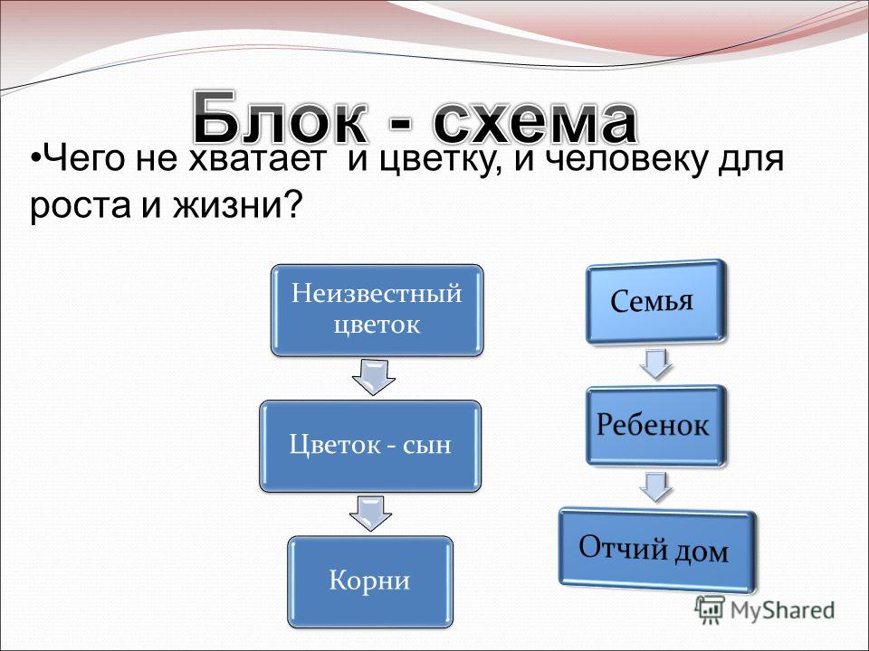 Неизвестный цветок пересказ Неизвестный цветок пересказ