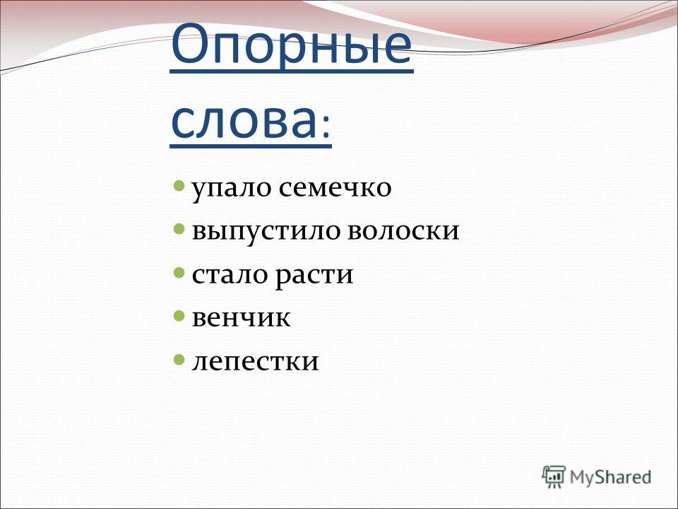 сказка быль неизвестный цветок аннотация к книге 960 x 720 · jpeg сказка быль неизвестный цветок аннотация к книге 960 x 720 · jpeg