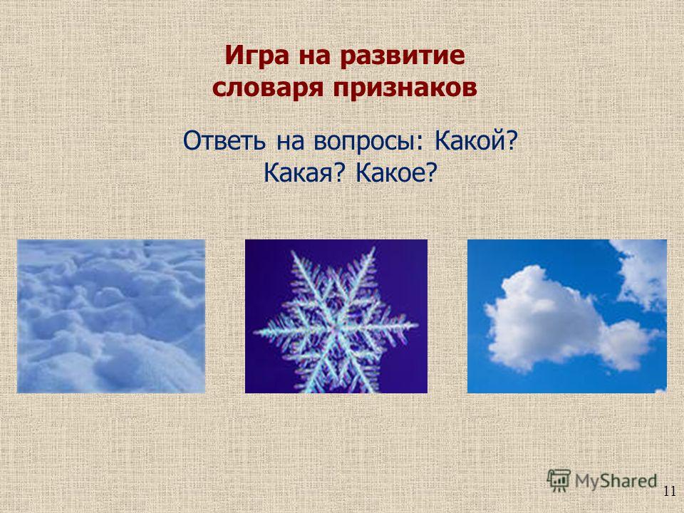Литература 11 класс пояснительная записка