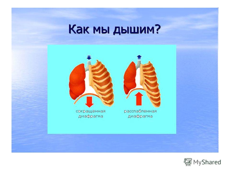 Слайд 12 Слайд 12