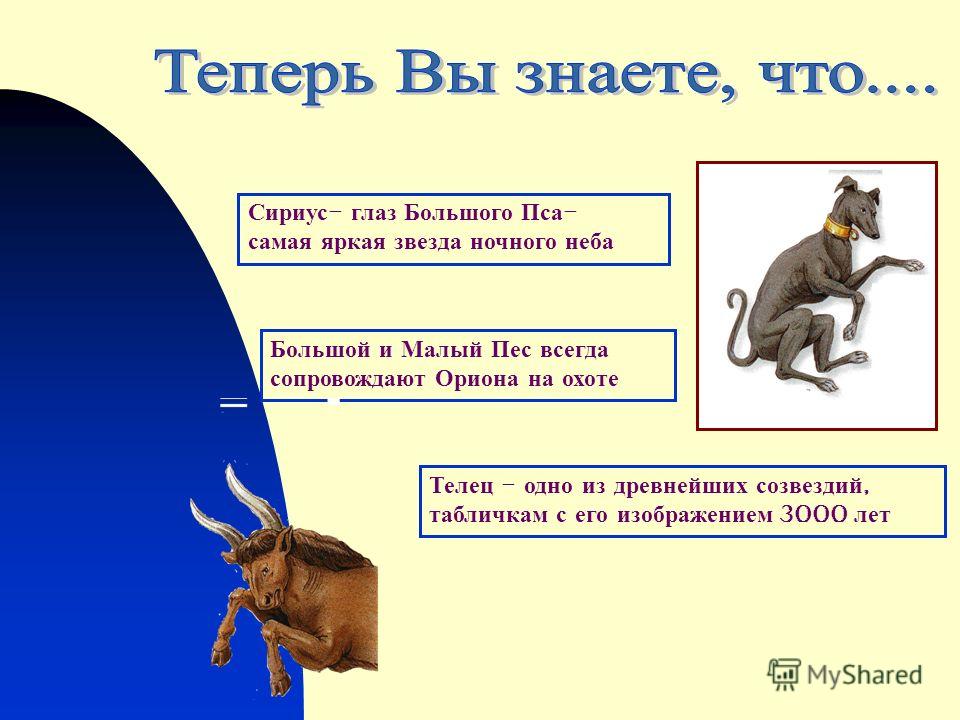 Самая яркая звезда ночного неба телец Самая яркая звезда ночного неба телец
