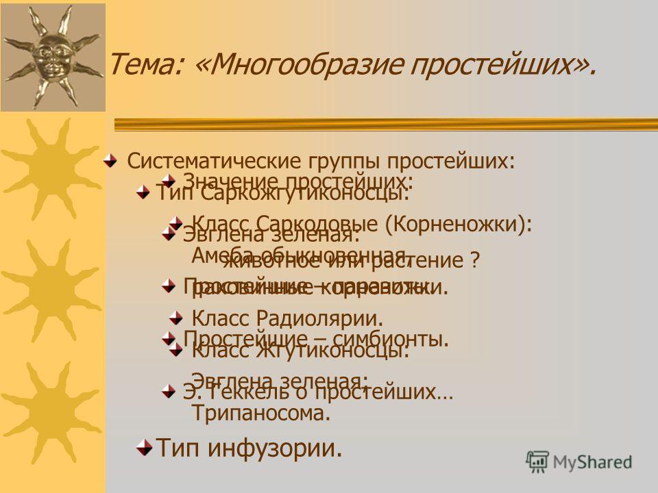 простейшие паразиты человека симптомы простейшие паразиты человека симптомы