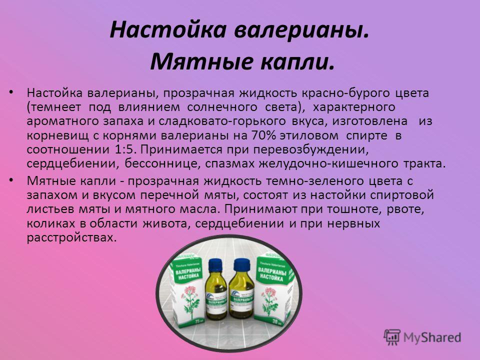 настойка для очищения организма настойка для очищения организма