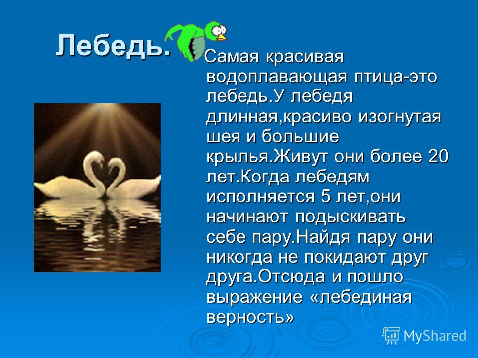 бьянка крылья слушать онлайн бьянка крылья слушать онлайн