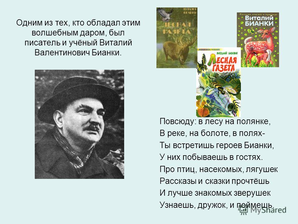 Браузер Сафари Торрент Браузер Сафари Торрент