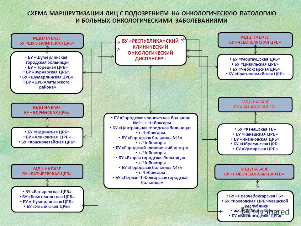 Запись к гинекологу в поликлинику 12
