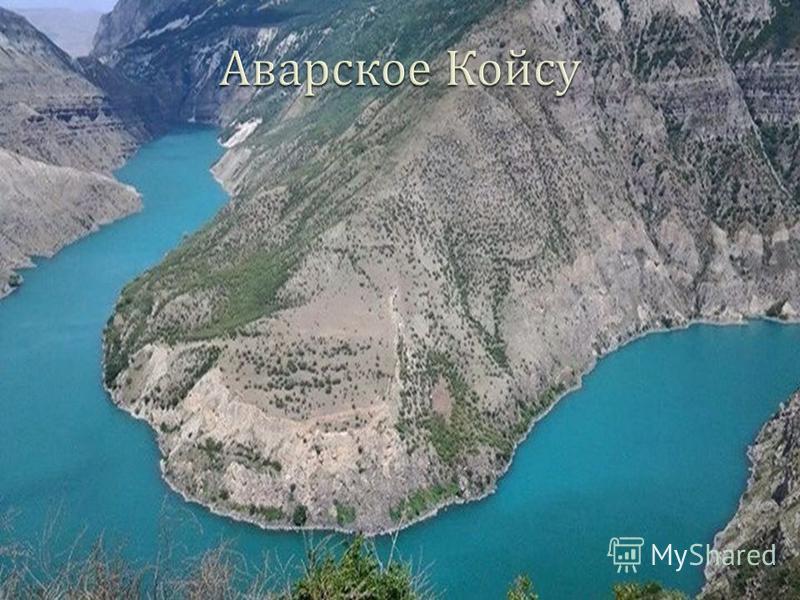 Река Аварское койсу Дагестан