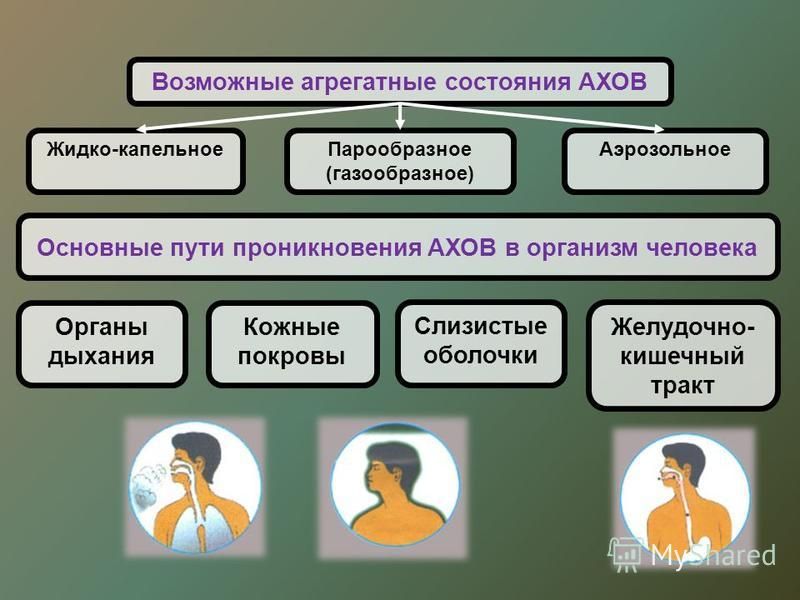 Презентация на тему: "Аварии с выбросом аварийно химически опасных веществ Химич
