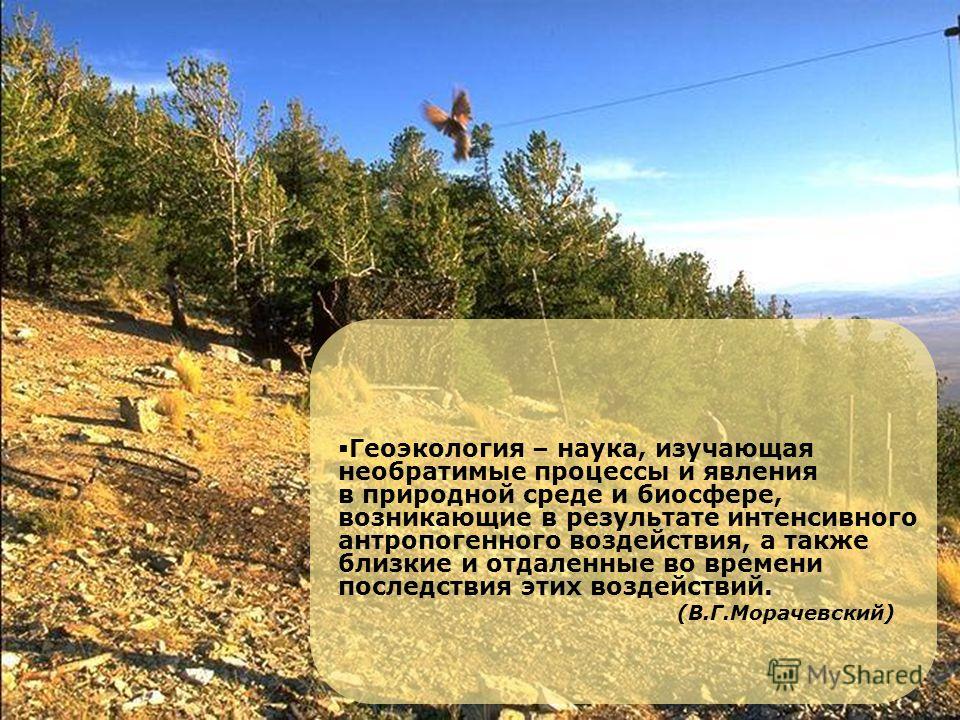 Планирование трудовой деятельности детей на участке в детском саду