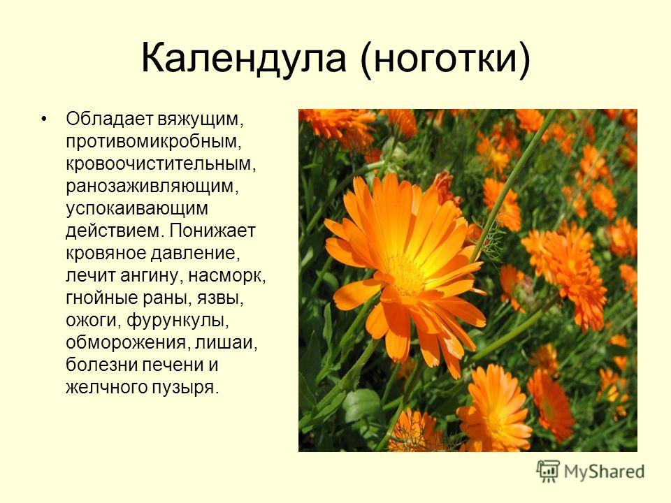 антибиотики от паразитов для детей антибиотики от паразитов для детей