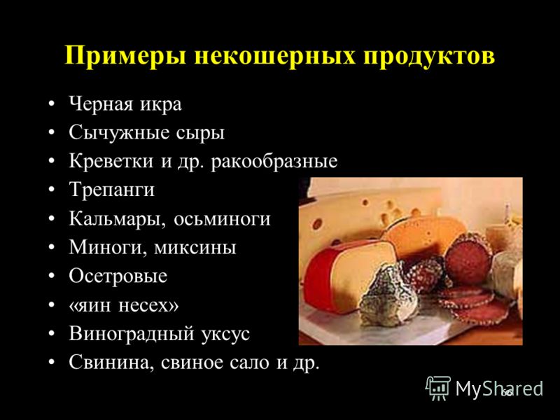 форум раздельного питания для похудения форум раздельного питания для похудения