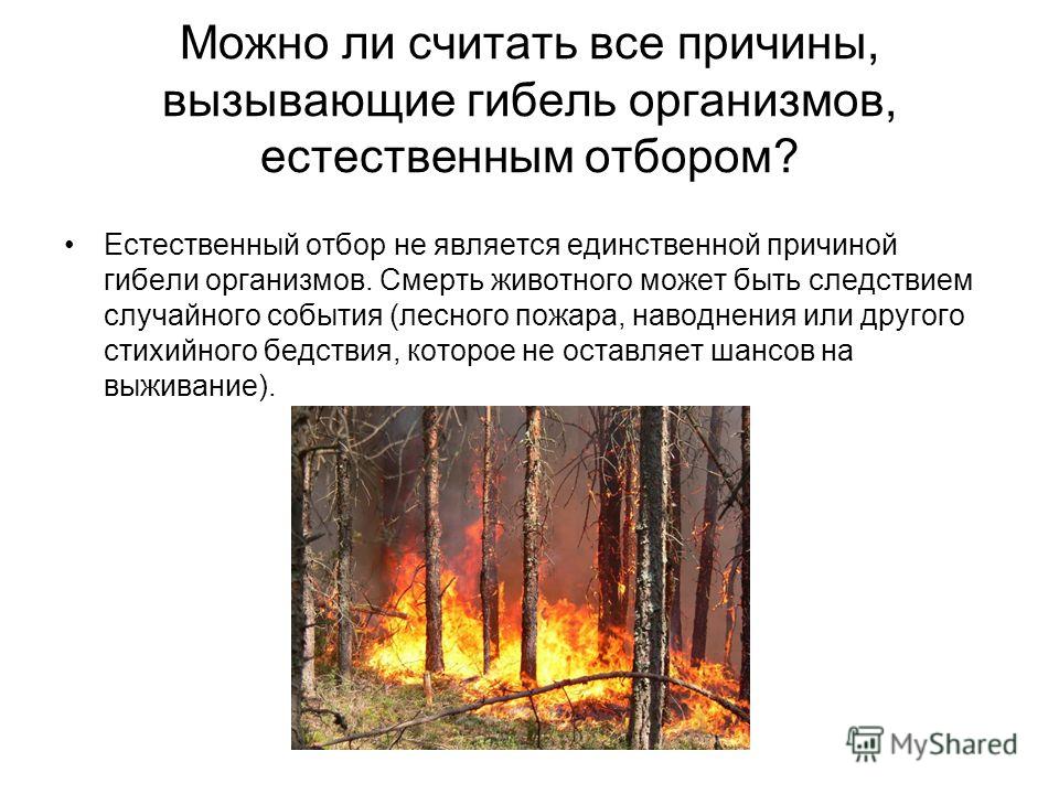 Генофонд и Причины Гибели Видов Презентация