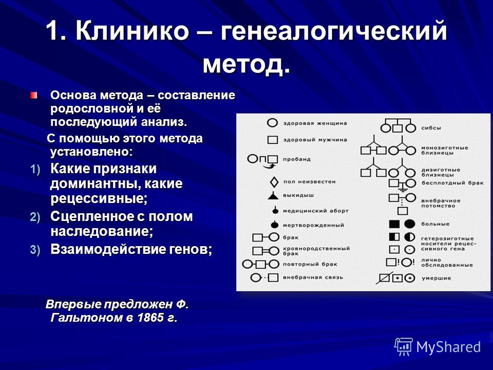 Постоянно болят кости суставы