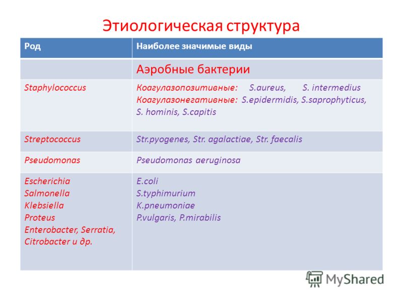 травяной чай для очищения организма травяной чай для очищения организма
