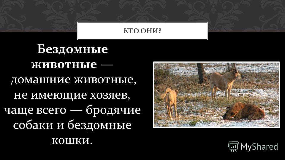Рабочая программа обучение грамоте гармония фгос