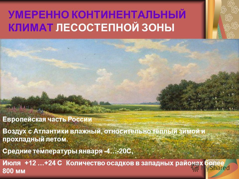 Волоколамск погода на 1 недели