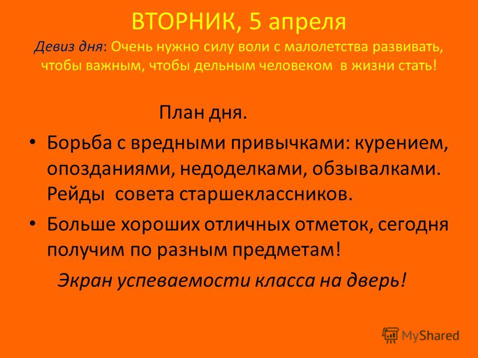 слоган на тему здоровья и очищения организма слоган на тему здоровья и очищения организма