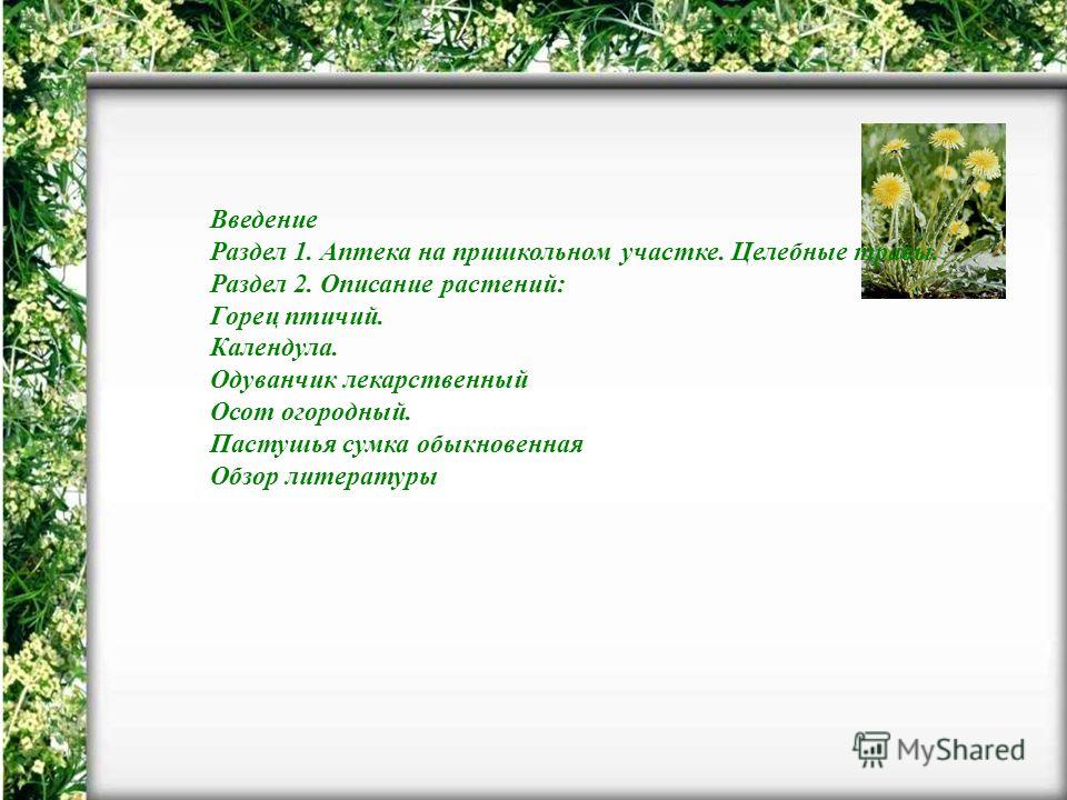 доклад класс одуванчик для 2