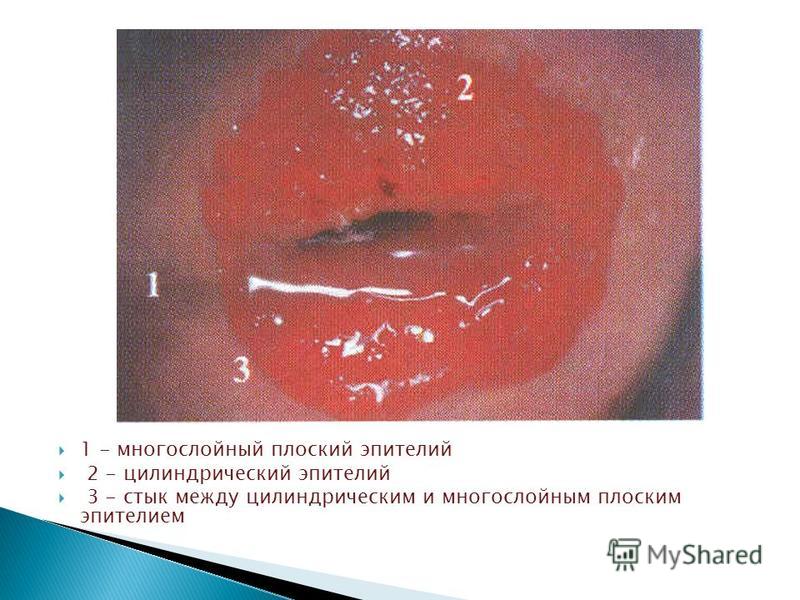 Клиника Маркова цены на услуги