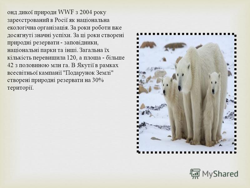 онд дикої природи WWF з 2004 року зареєстрований в Росії як національна екологічна організація. За роки роботи вже досягнуті значні успіхи. За ці роки створені природні резервати - заповідники, національні парки та інші. Загальна їх кількість перевищ