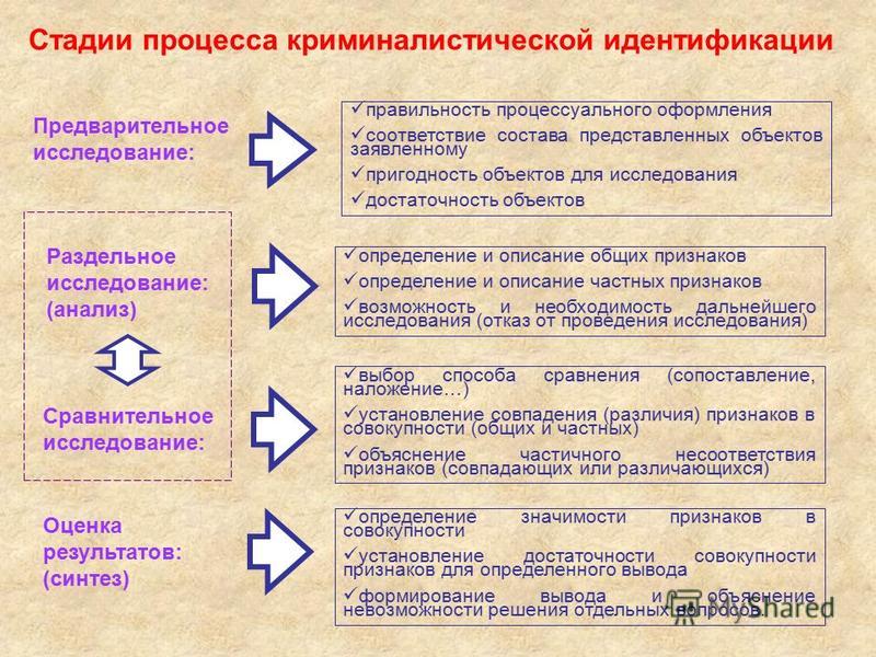 Этапы идентификационного исследования в криминалистике схема